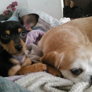 Meet your Posher, Anna